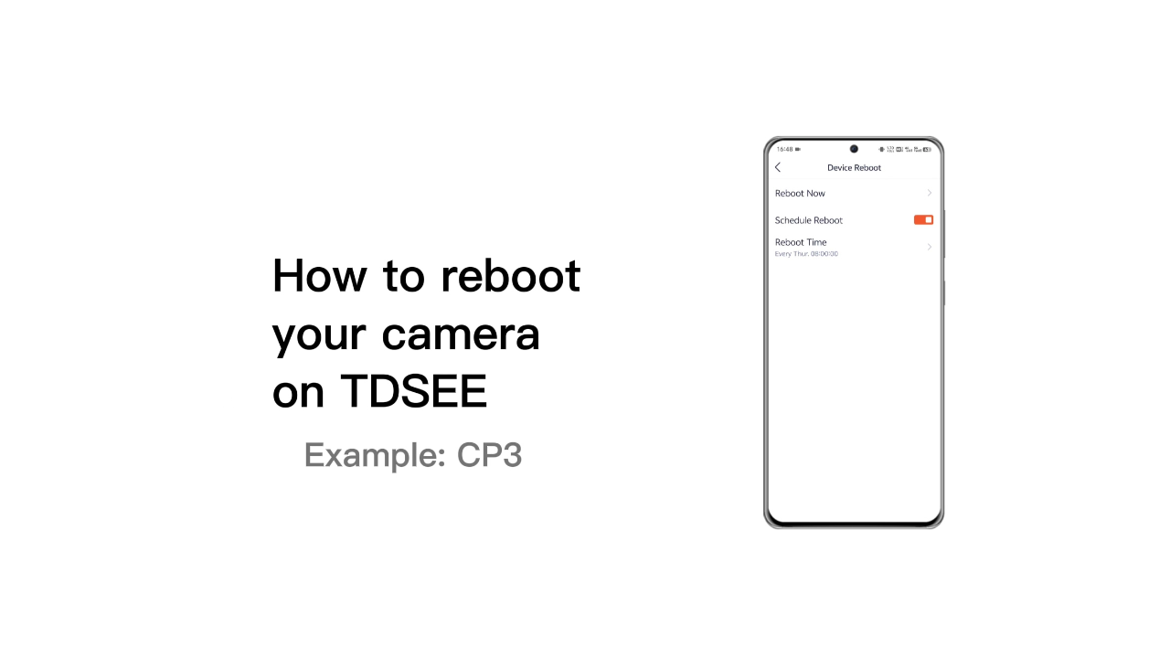 [SOHO camera]  How to reboot your camera on TDSEE